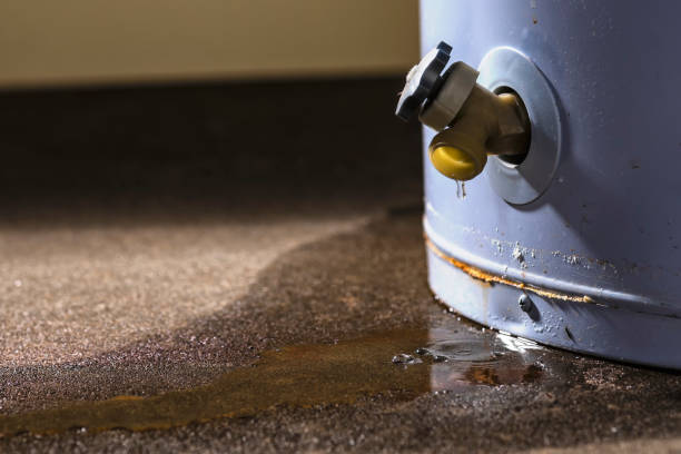 Best Water damage cleanup near me  in Dayton, VA