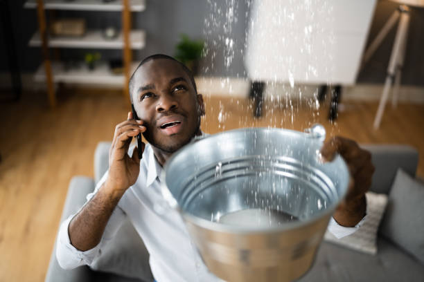 Best Water damage restoration near me  in Dayton, VA