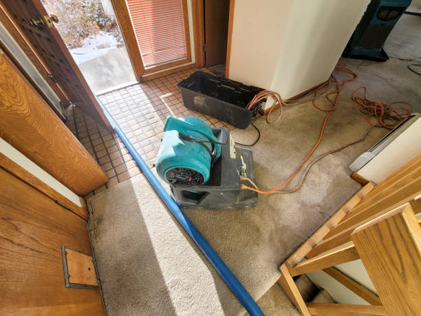 Best Water damage contractors near me  in Dayton, VA